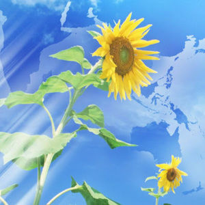 Meet your Posher, Loriebelle grace